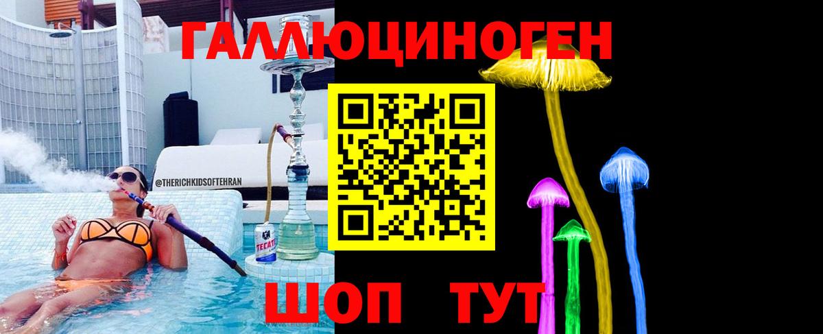 Псилоцибиновые грибы Psilocybe Октябрьский